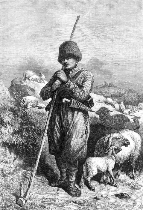 Framed Print : The Crimea Revisited: the Tartar Shepherd, 1869. Creator: Unknown Framed Print : The Crimea Revisited: the Tartar Shepherd, 1869. Creator: Unknown