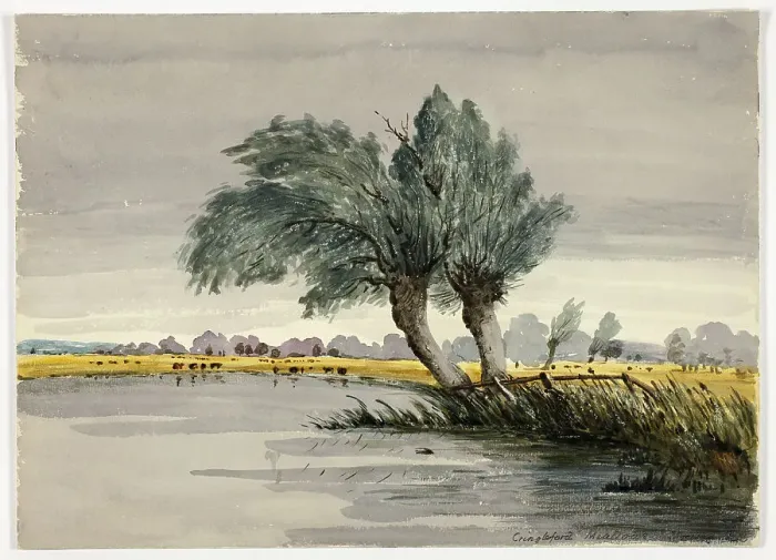 Framed Print : Cringleford Meadows-Morning, n.d. Creator: Unknown Framed Print : Cringleford Meadows-Morning, n.d. Creator: Unknown