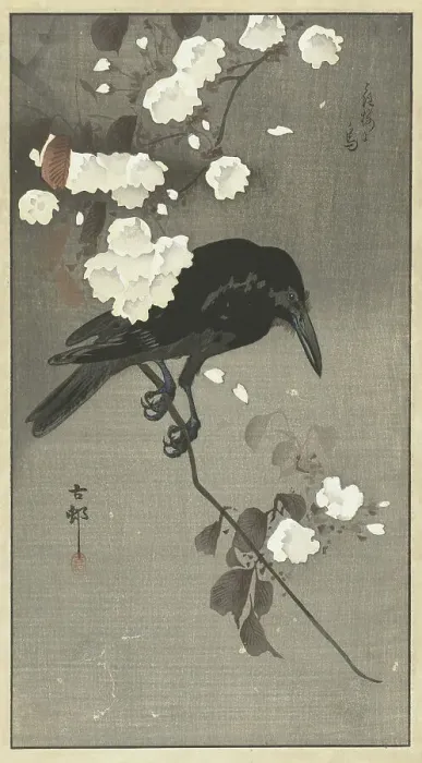 Framed Print : Crow with cherry blossom. Creator: Ohara, Koson (1877-1945) Framed Print : Crow with cherry blossom. Creator: Ohara, Koson (1877-1945)