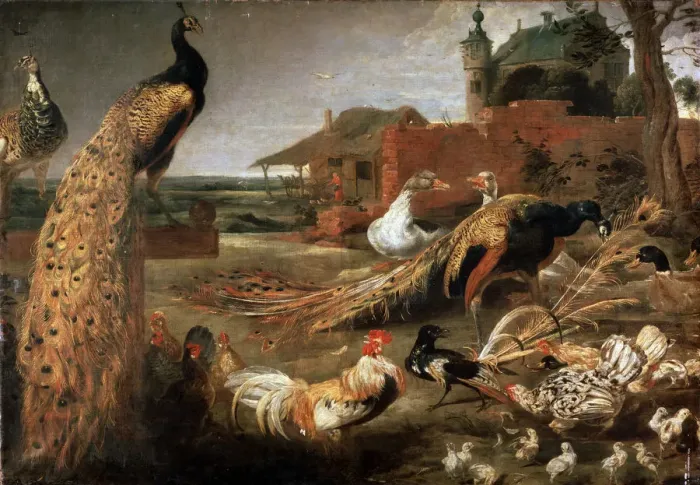 Framed Print : Crow in Peacocks Fathers, c1615-1690. Artist: Pauwel de Vos Framed Print : Crow in Peacocks Fathers, c1615-1690. Artist: Pauwel de Vos