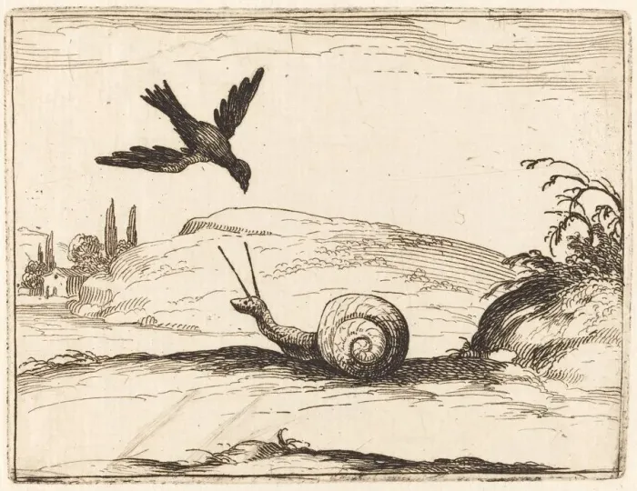 Framed Print : Crow and Snail, 1628. Creator: Jacques Callot Framed Print : Crow and Snail, 1628. Creator: Jacques Callot