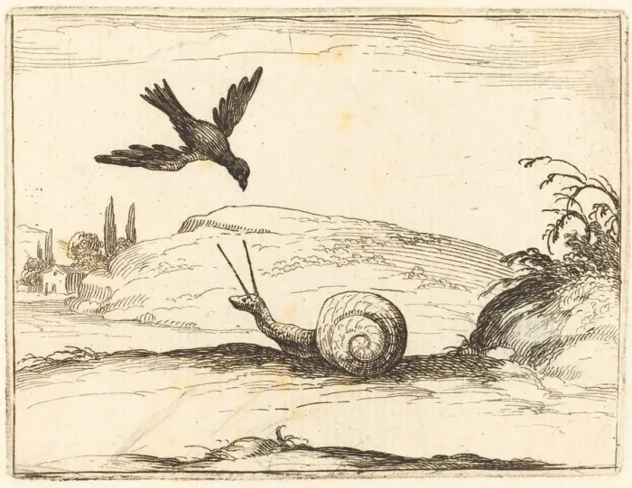 Framed Print : Crow and Snail, 1628. Creator: Jacques Callot Framed Print : Crow and Snail, 1628. Creator: Jacques Callot