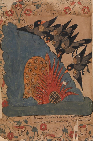 The Crows Trap the Owls in Their Cave by Lighting a Fire at the Entrance and Fanning