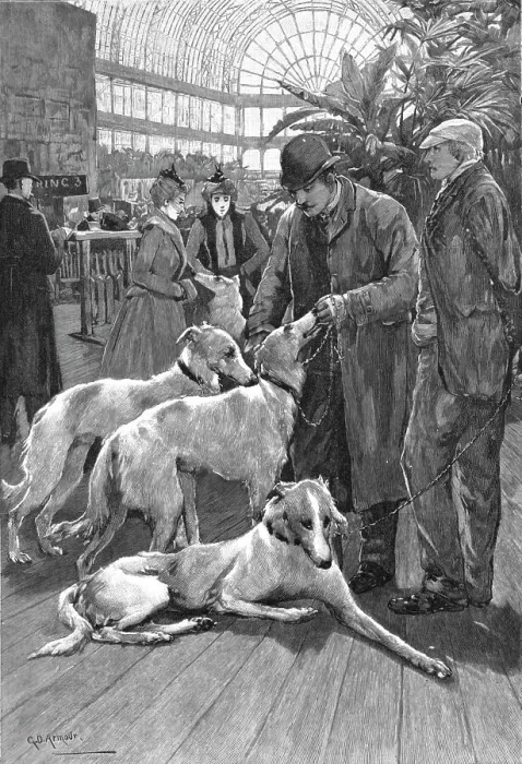Framed Print : The Crystal Palace Dog Show -- Russian Wolf Hounds awaiting their turn to Enter the Ring, 1890. Creator: Unknown Framed Print : The Crystal Palace Dog Show -- Russian Wolf Hounds awaiting their turn to Enter the Ring, 1890. Creator: Unknown