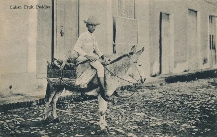 Framed Print : Cuban Fruit Peddler, c1908 Framed Print : Cuban Fruit Peddler, c1908