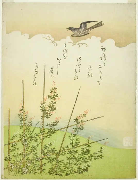 Framed Print : Cuckoo flying over deutzia flowers, Japan, c. 1766. Creator: Komatsuya Hyakki Framed Print : Cuckoo flying over deutzia flowers, Japan, c. 1766. Creator: Komatsuya Hyakki