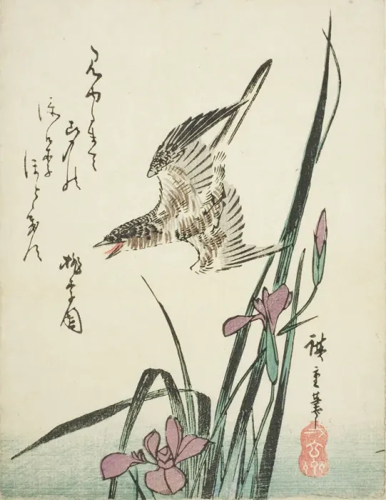 Framed Print : Cuckoo flying over iris, 1830s. Creator: Ando Hiroshige Framed Print : Cuckoo flying over iris, 1830s. Creator: Ando Hiroshige