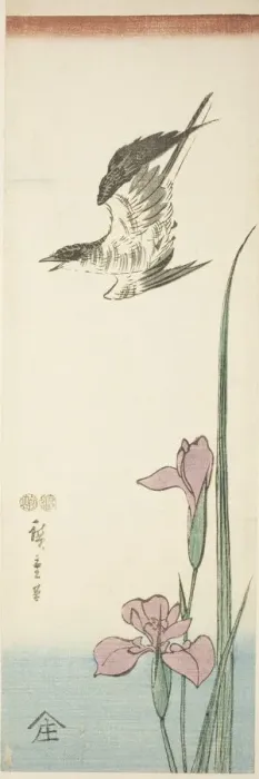 Framed Print : Cuckoo and iris, c. 1847 / 52. Creator: Ando Hiroshige Framed Print : Cuckoo and iris, c. 1847 / 52. Creator: Ando Hiroshige