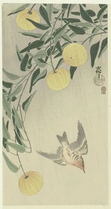 Framed Print : Cuckoo in the rain, 1900-1910. Creator: Ohara, Koson (1877-1945) Framed Print : Cuckoo in the rain, 1900-1910. Creator: Ohara, Koson (1877-1945)