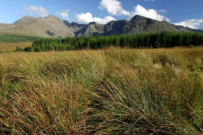 Framed Print : Cuillin Hills from Glen Brittle, Isle of Skye, Highland, Scotland Framed Print : Cuillin Hills from Glen Brittle, Isle of Skye, Highland, Scotland