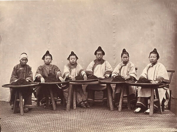 Culling Tea, ca. 1869. Creator: Attributed to Lai Fong