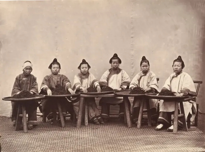 Framed Print : Culling Tea, ca. 1869. Creator: Attributed to Lai Fong Framed Print : Culling Tea, ca. 1869. Creator: Attributed to Lai Fong
