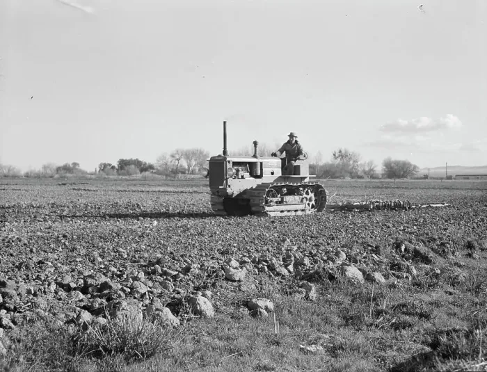 Framed Print : Cultivating potato field, California, 1939. Creator: Dorothea Lange Framed Print : Cultivating potato field, California, 1939. Creator: Dorothea Lange
