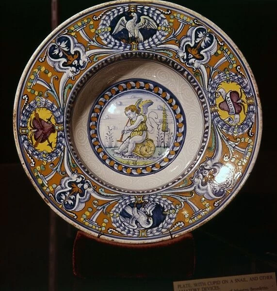 Cupid on a Snail blowing a trumpet, plate from Siena, Italy, 1510