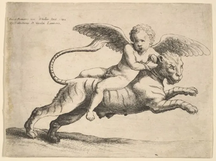 Framed Print : Cupid on a tiger, 1652. Creator: Wenceslaus Hollar Framed Print : Cupid on a tiger, 1652. Creator: Wenceslaus Hollar