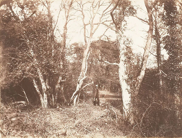 Cureuleo Meadow, 1853-56. Creator: John Dillwyn Llewelyn