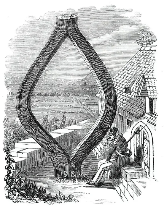 Framed Print : Curious Oak at Baden-Baden, 1844. Creator: Unknown Framed Print : Curious Oak at Baden-Baden, 1844. Creator: Unknown