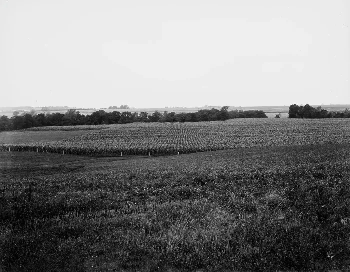 Framed Print : Curve to be straightened, near Oak Grove, Mo. between 1900 and 1905. Creator: Unknown Framed Print : Curve to be straightened, near Oak Grove, Mo. between 1900 and 1905. Creator: Unknown