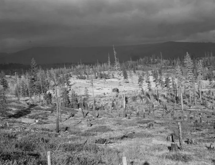 Framed Print : Cut-over landscape, approaching winter rain, showing settler s... Boundary County, Idaho, 1939. Creator: Dorothea Lange Framed Print : Cut-over landscape, approaching winter rain, showing settler s... Boundary County, Idaho, 1939. Creator: Dorothea Lange