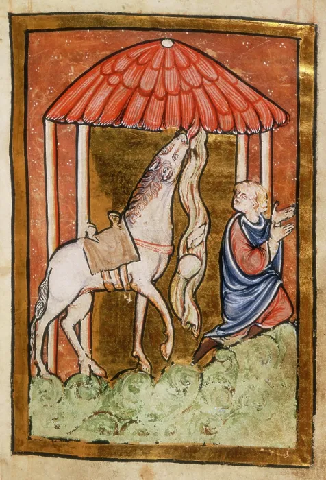 Framed Print : Cuthbert's horse pulls down bread and meat, last quarter of the 12th century. Creator: Unknown. Cuthbert's horse pulls down bread and meat, last quarter of the 12th century Framed Print : Cuthbert's horse pulls down bread and meat, last quarter of the 12th century. Creator: Unknown. Cuthbert's horse pulls down bread and meat, last quarter of the 12th century