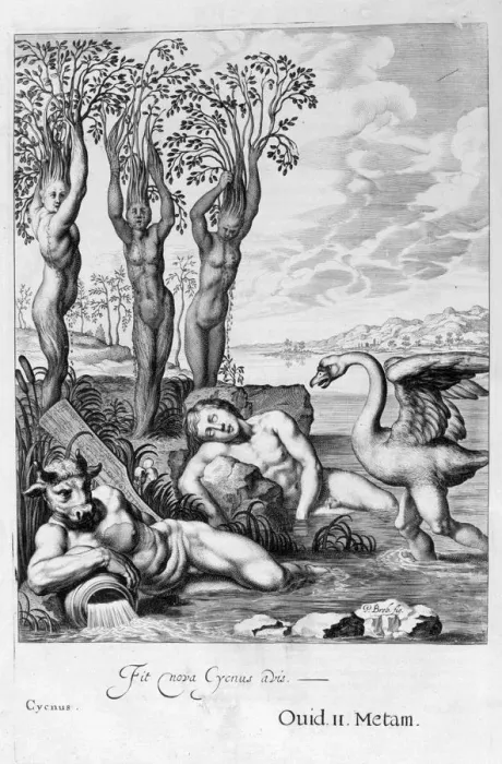 Framed Print : Cygnus transformed into a swan and Phaetons sisters into poplars, 1655. Artist: Michel de Marolles Framed Print : Cygnus transformed into a swan and Phaetons sisters into poplars, 1655. Artist: Michel de Marolles