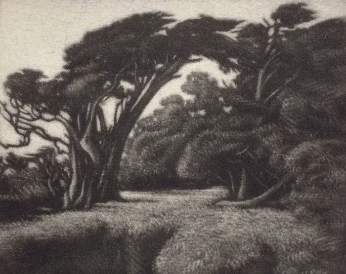 Framed Print : Cypress Bower, 1920. Creator: Ernest Haskell Framed Print : Cypress Bower, 1920. Creator: Ernest Haskell
