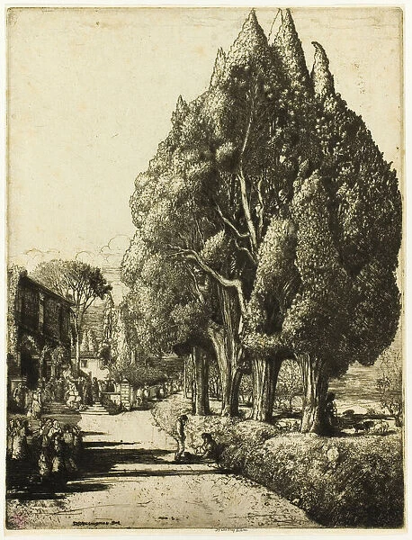 The Cypress Grove, 1904. Creator: Donald Shaw MacLaughlan