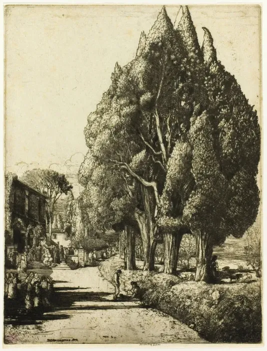 Framed Print : The Cypress Grove, 1904. Creator: Donald Shaw MacLaughlan Framed Print : The Cypress Grove, 1904. Creator: Donald Shaw MacLaughlan