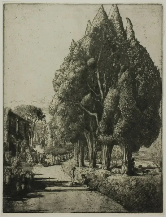 Framed Print : The Cypress Grove, 1904. Creator: Donald Shaw MacLaughlan Framed Print : The Cypress Grove, 1904. Creator: Donald Shaw MacLaughlan