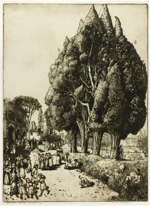 Framed Print : Cypress Grove, 1904. Creator: Donald Shaw MacLaughlan Framed Print : Cypress Grove, 1904. Creator: Donald Shaw MacLaughlan