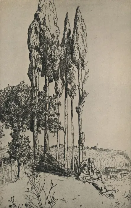 Framed Print : Cypress Trees Near Siena, 1903. Artist: Charles Holroyd Framed Print : Cypress Trees Near Siena, 1903. Artist: Charles Holroyd