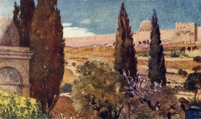 Framed Print : The Cypresses of the Garden of Gethsemane, 1902. Creator: John Fulleylove Framed Print : The Cypresses of the Garden of Gethsemane, 1902. Creator: John Fulleylove