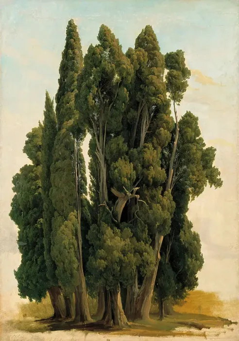 Framed Print : Cypresses. Study, 1843. Creator: Gustav Wilhelm Palm Framed Print : Cypresses. Study, 1843. Creator: Gustav Wilhelm Palm