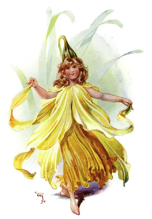 Framed Print : The Daffodil, 1899 Framed Print : The Daffodil, 1899