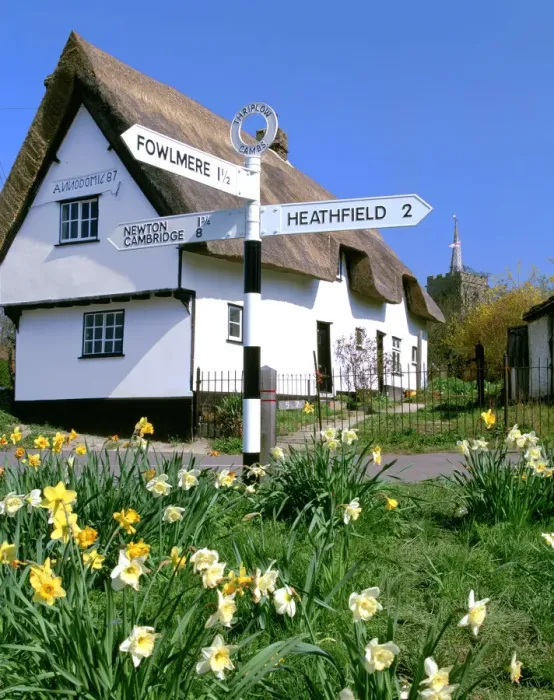 Framed Print : Daffodils, road sign and cottage, Thriplow, Cambridgeshire Framed Print : Daffodils, road sign and cottage, Thriplow, Cambridgeshire