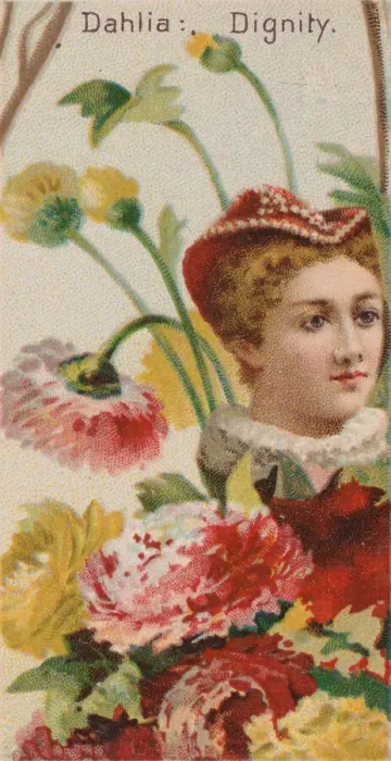 Framed Print : Dahlia: Dignity, from the series Floral Beauties and Language of Flowers (N75