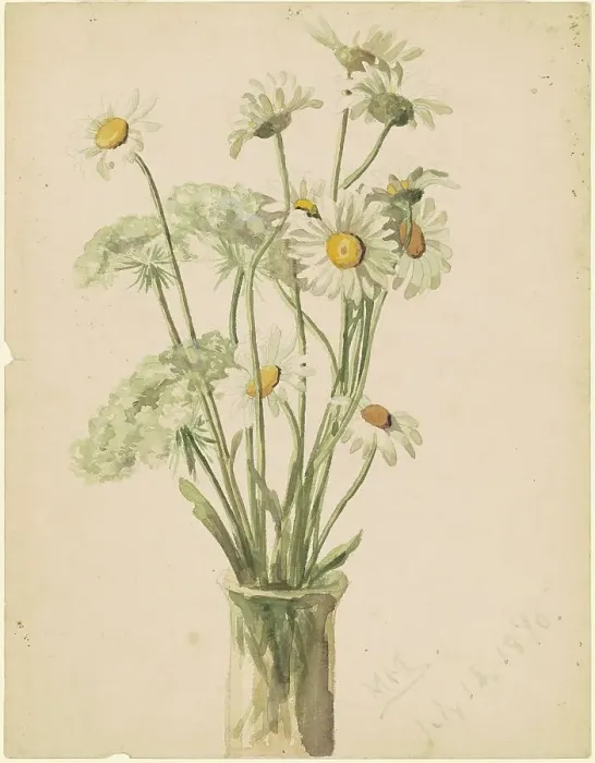 Framed Print : Daisies and Queen Anne's Lace, 1890. Creator: Marietta Minnigerode Andrews Framed Print : Daisies and Queen Anne's Lace, 1890. Creator: Marietta Minnigerode Andrews