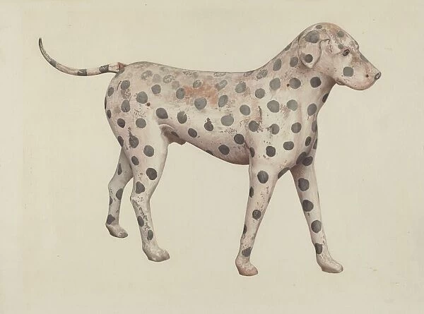 Dalmatian, 1935  /  1942. Creator: Betty Fuerst