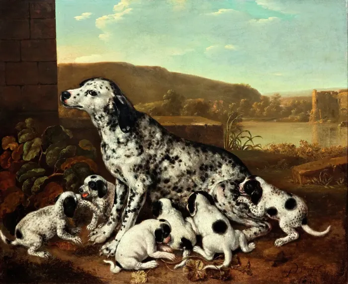 Framed Print : Dalmatian dog with puppies, c1700-17120. Creator: Pieter van der Hulst Framed Print : Dalmatian dog with puppies, c1700-17120. Creator: Pieter van der Hulst