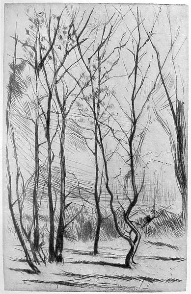 The Dam Wood, c1875 (1904). Artist: James Abbott McNeill Whistler