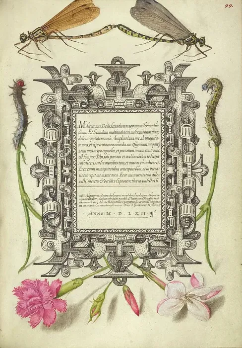 Framed Print : Damselflies, Caterpillars, Carnation, and Poet's Jasmine, 1561-1562; illumination added 1591-1596. Creator: Joris Hoefnagel Framed Print : Damselflies, Caterpillars, Carnation, and Poet's Jasmine, 1561-1562; illumination added 1591-1596. Creator: Joris Hoefnagel