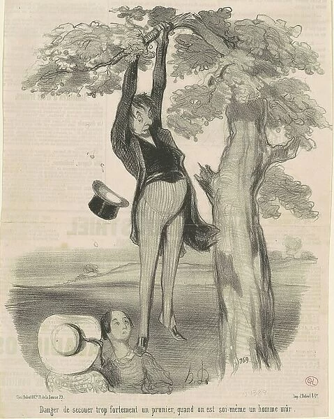 Danger de secouer trop fortement... Un prunier, 19th century. Creator: Honore Daumier
