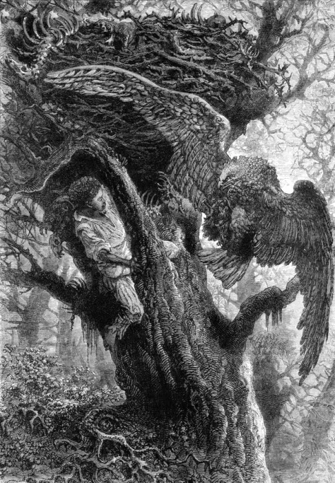 Framed Print : Dangerous Bird Nesting; A Flying Visit to Florida, 1875. Creator: Thomas Mayne Reid Framed Print : Dangerous Bird Nesting; A Flying Visit to Florida, 1875. Creator: Thomas Mayne Reid