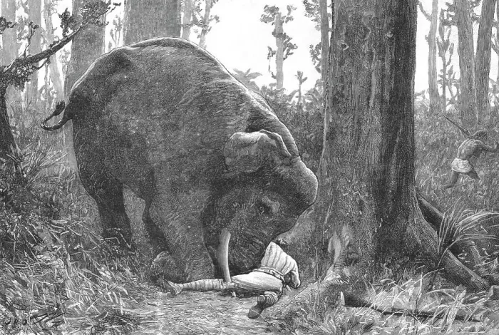 Framed Print : The Dangers of Elephant Shooting -- Captain Peterson's Hunting Accident in the Malay Peninsula, 1 Creator: Unknown Framed Print : The Dangers of Elephant Shooting -- Captain Peterson's Hunting Accident in the Malay Peninsula, 1 Creator: Unknown