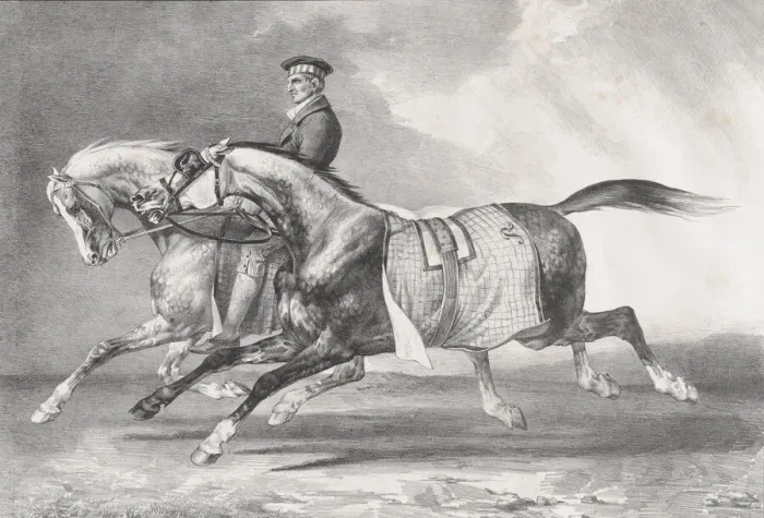 Framed Print : Two Dappled-Grey Horses Being Exercised, 1822. Creator: Theodore Gericault Framed Print : Two Dappled-Grey Horses Being Exercised, 1822. Creator: Theodore Gericault