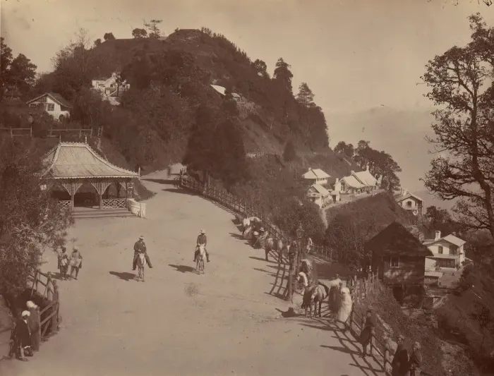 Framed Print : Darjeeling, 1860s-70s. Creator: Unknown Framed Print : Darjeeling, 1860s-70s. Creator: Unknown