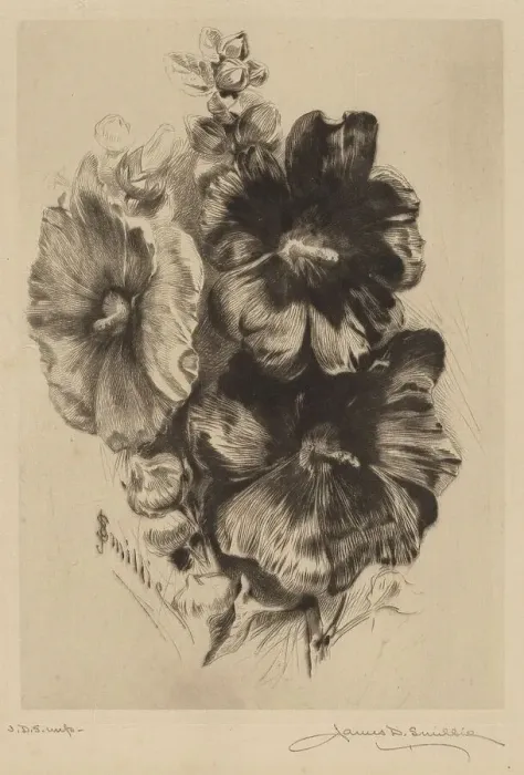 Framed Print : Dark Single Hollyhocks, 1890. Creator: James David Smillie Framed Print : Dark Single Hollyhocks, 1890. Creator: James David Smillie