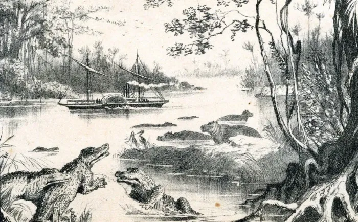 Framed Print : David Livingstone navigating the Zambezi, Africa, 1852-1864 (c1878) Framed Print : David Livingstone navigating the Zambezi, Africa, 1852-1864 (c1878)
