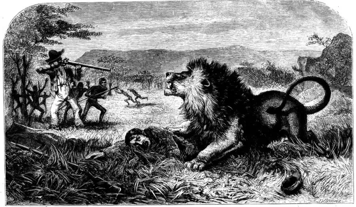 Framed Print : David Livingstone, saved from a lion by Mebalwe, a native schoolmaster, 1857 Framed Print : David Livingstone, saved from a lion by Mebalwe, a native schoolmaster, 1857