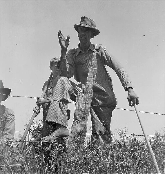 Day laborer near Oil City, Carter County, Oklahoma, 1937. Creator: Dorothea Lange